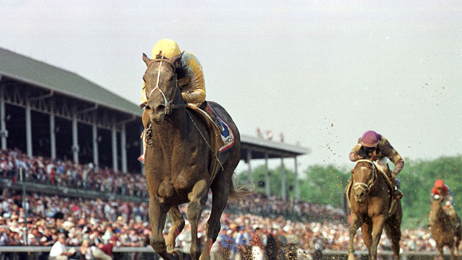 Monarchos Kentucky Derby 2001 Winner