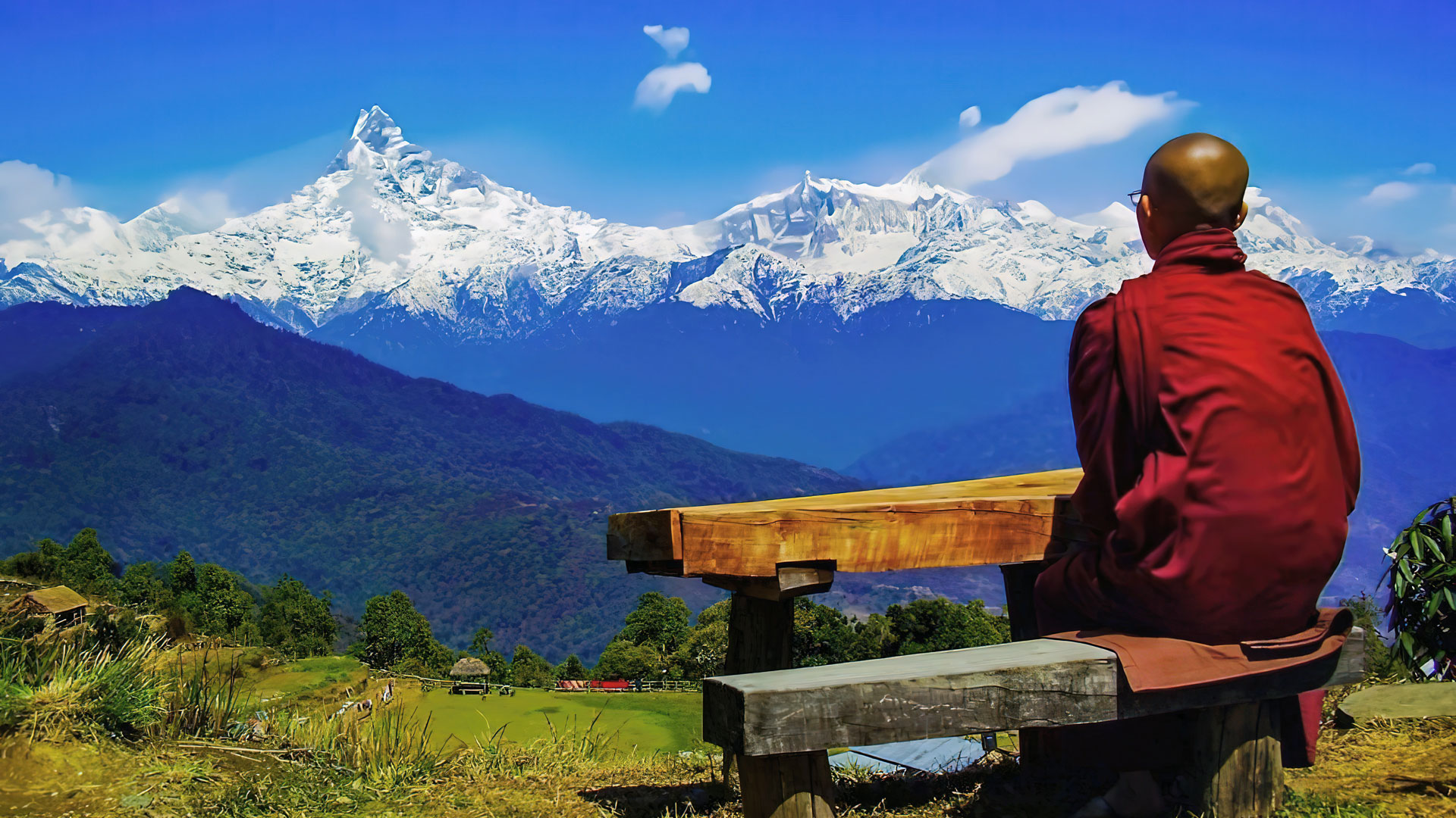 Neurociencia de la Meditación