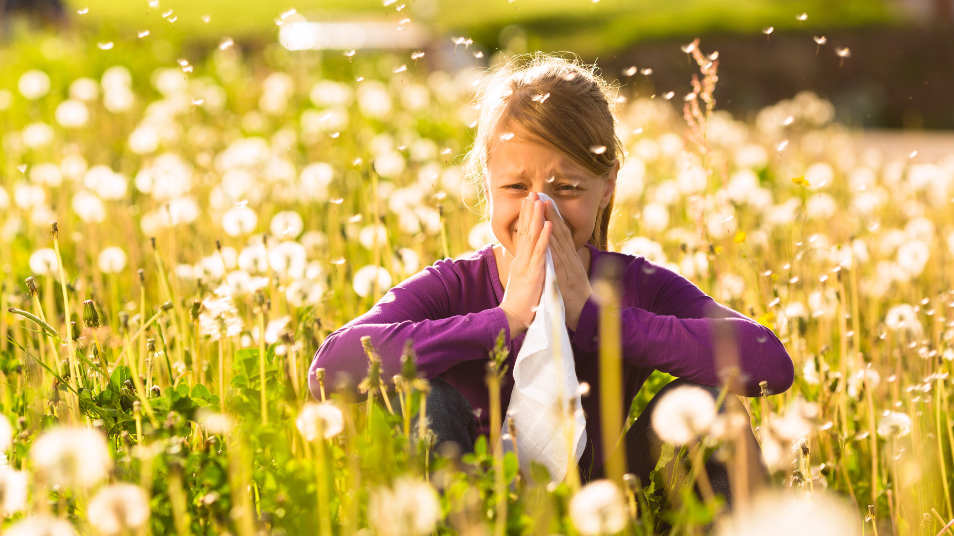 Manage Your Allergies