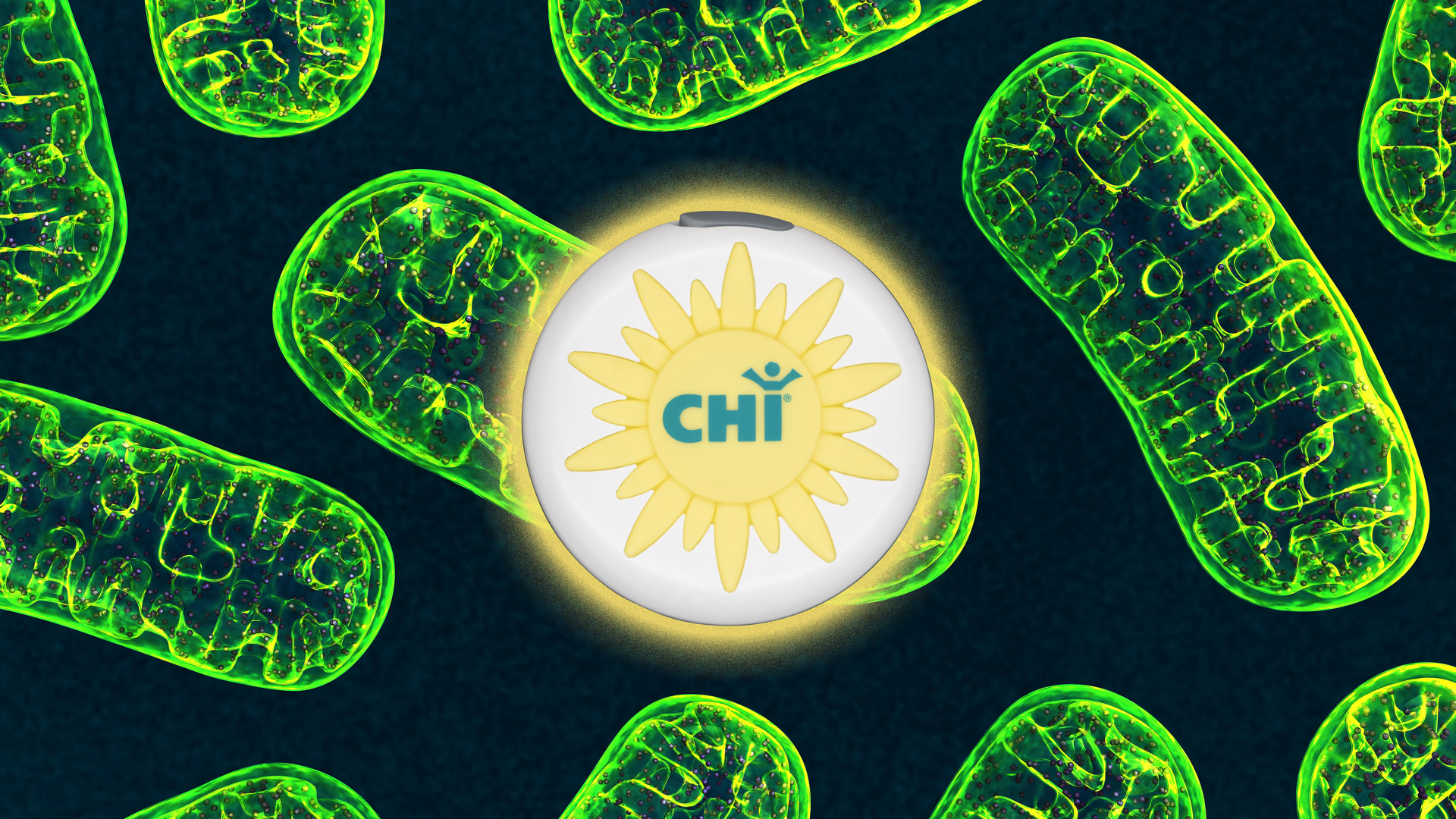 CHI Sonne und Mitochondrien