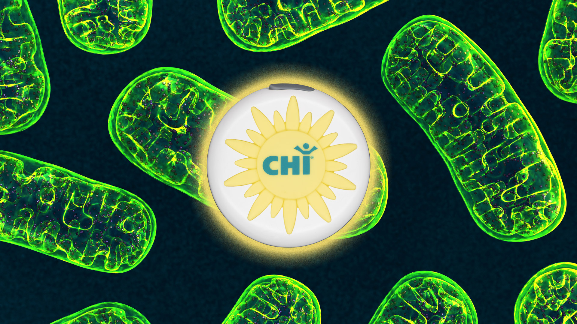 CHI Zon en mitochondriën