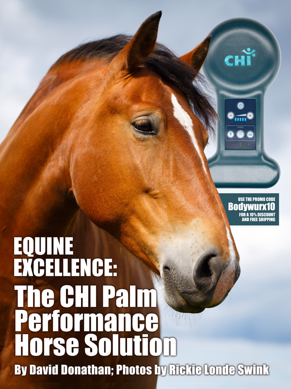 CHI Performance Horse Solution