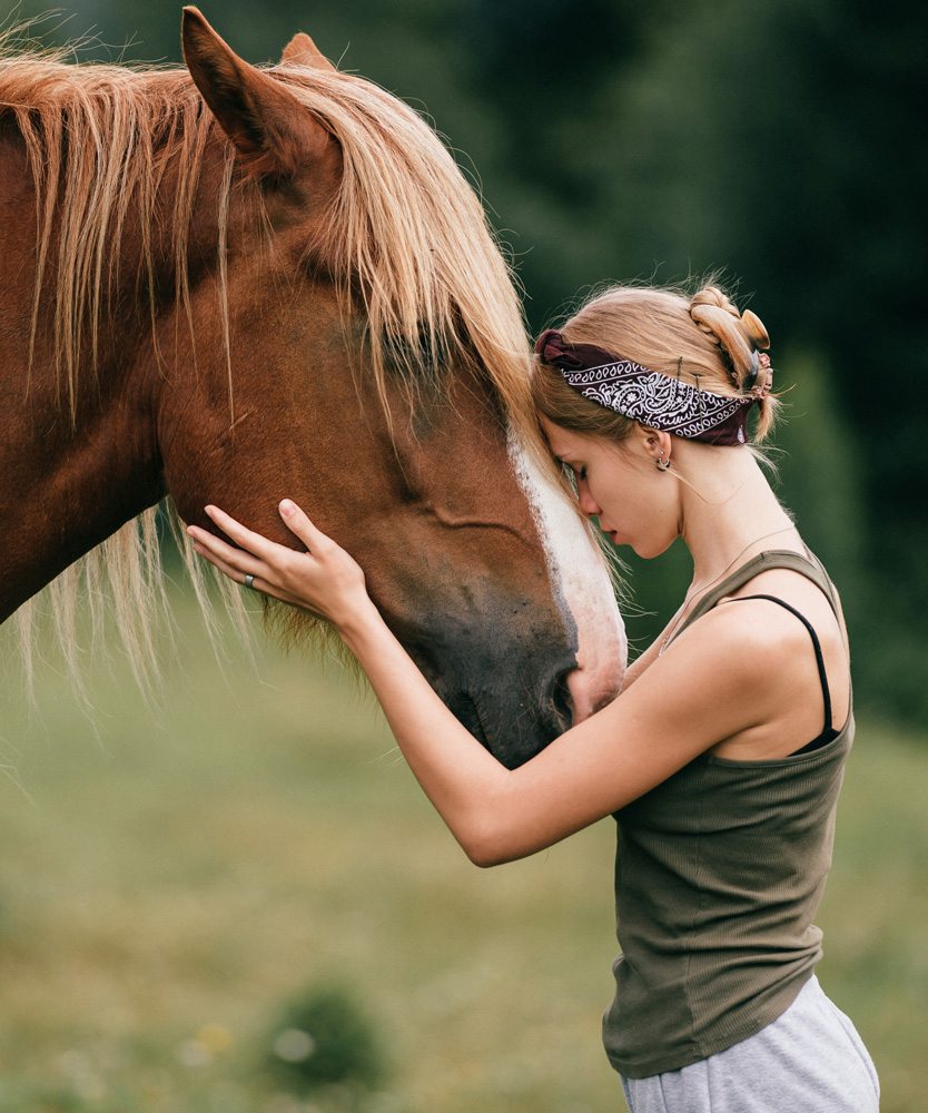 Treat Your Animals with the CHI Palm