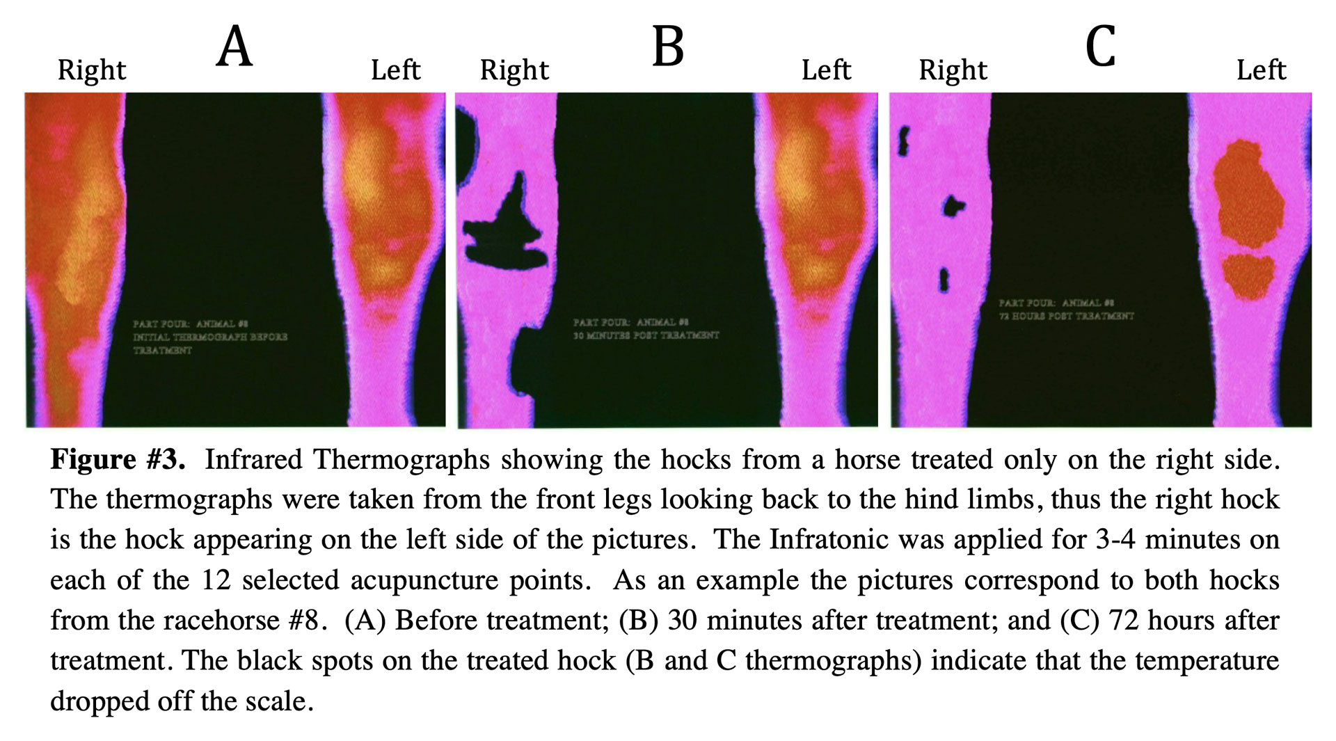 Equine Research Infrared Thermographs