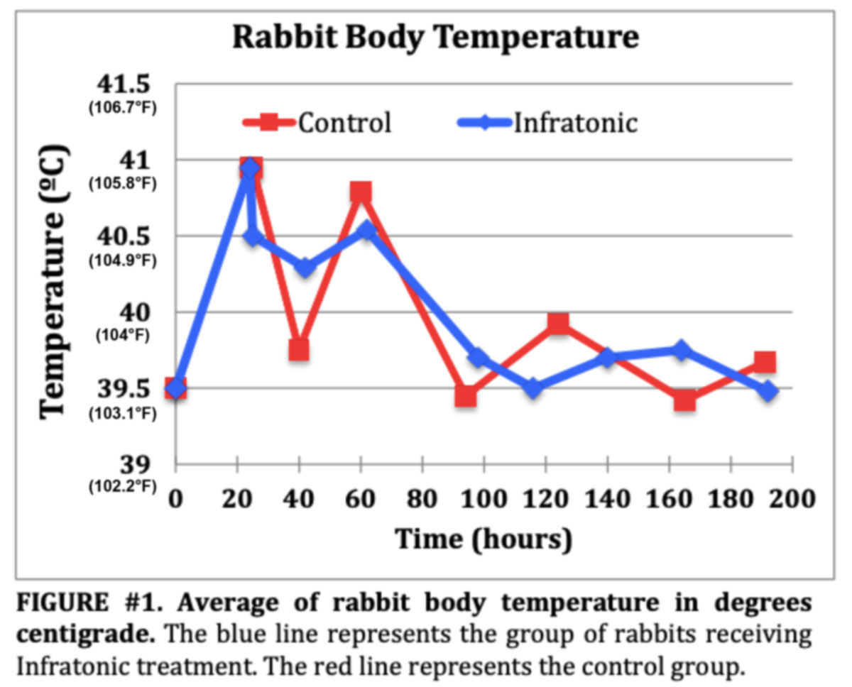 Rabbit Body Temperature