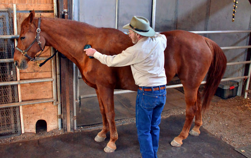 David Donathan Treating Horse with CHI Palm