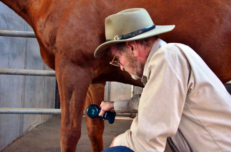 David Donathan Treating Horse with CHI Palm