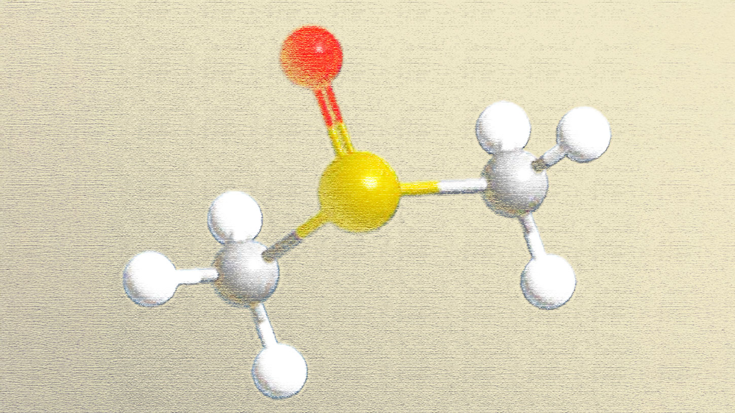 DMSO